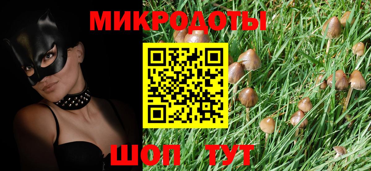 Псилоцибиновые грибы мицелий  закладки  Псилоцибиновые грибы GOLDEN TEACHER  Изобильный  Вход с VPN 